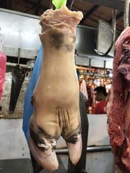 Ox Feet